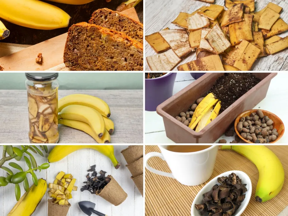 Banana