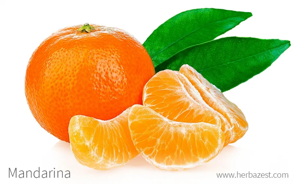 Mandarina