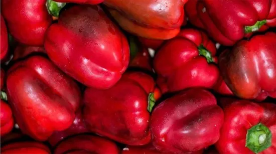 Morron rojo